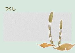つくし